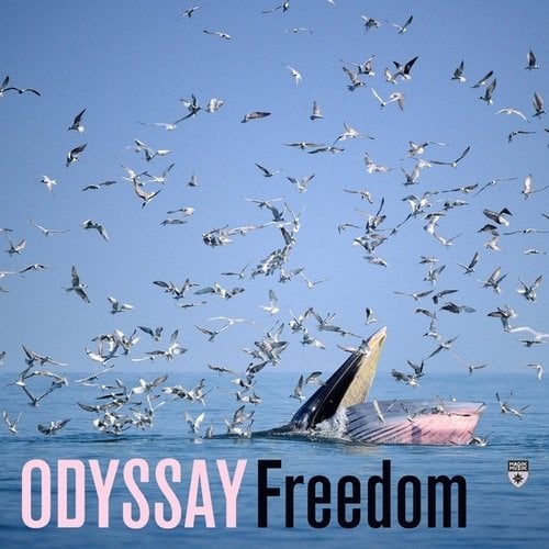 freedom-odyssay-magik-muzik