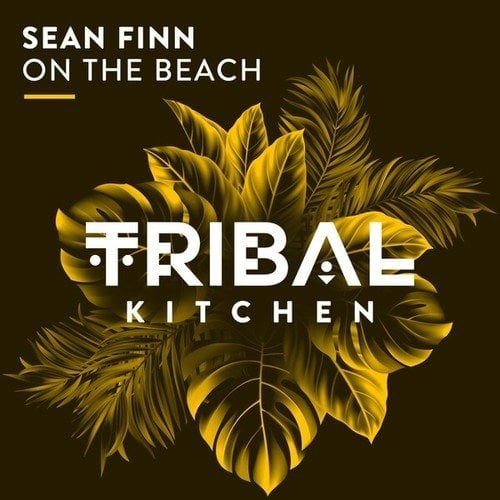 on-the-beach-radio-edit-sean-finn-tribal-kitchen